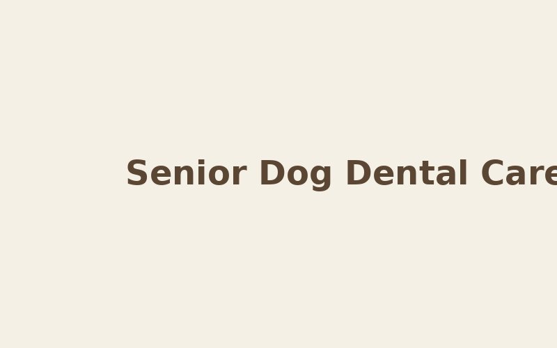Senior Dog Teeth: The Dental Work That Actually Matters