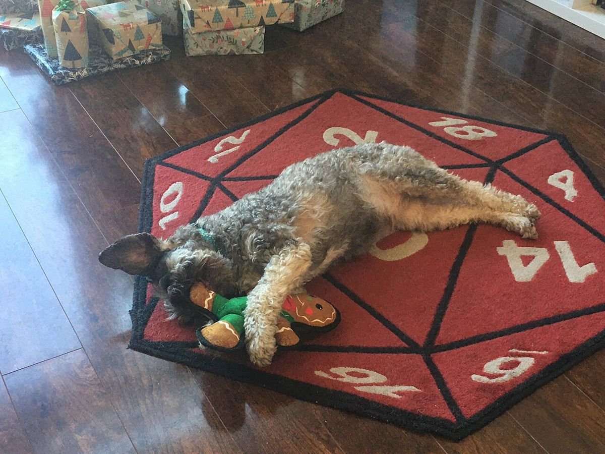 Dog playing with a wrapped Christmas present on the floor