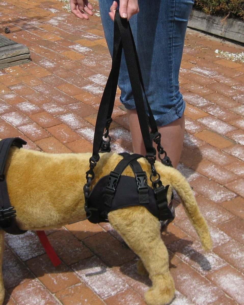Rear support harness with lifting handles shown on a life-size toy dog standing on a brick path