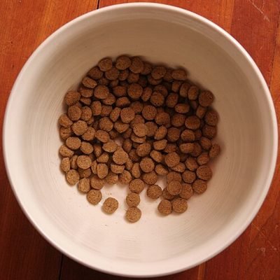 Bowl of dry dog food kibble (item type photo, not the exact product)