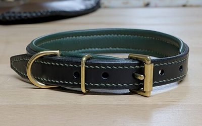 Close-up of a dog collar (item type photo, not the exact product)