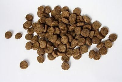 Pile of small dry dog food kibble (item type photo, not the exact product)