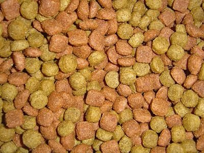 Close-up of dry dog food kibble (item type photo, not the exact product)