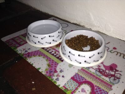 Two cat bowls on a floor mat, one filled with dry kibble (item type photo, not the exact product)