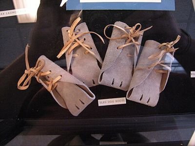 Four simple fabric dog boots with laces laid out on a dark surface (item type photo, not the exact product)
